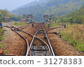 Life path 31278383