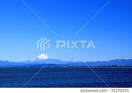 People who surf on Shonan Coast where Mt. Fuji can be seen under blue sky 31279335