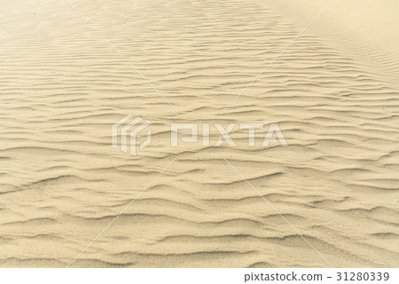 Sand dunes 31280339