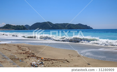 Beach and wave 31280909