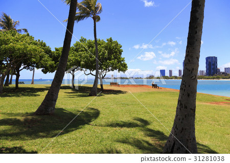 Ala Moana Beach Park 31281038