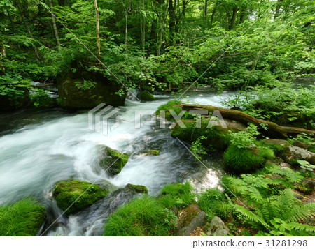 Oirase stream Oirase stream 31281298