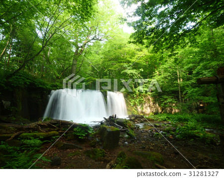 Oirase Stream的Choshi Otaki Oirase Stream的Choshi Otaki 31281327