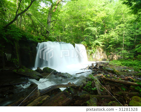 Oirase Stream的Choshi Otaki 31281328