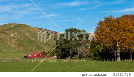 Red Farm Shed 31281758