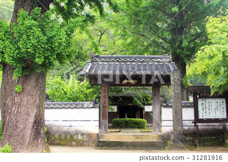 The mountain gate of the blue clouds 31281916