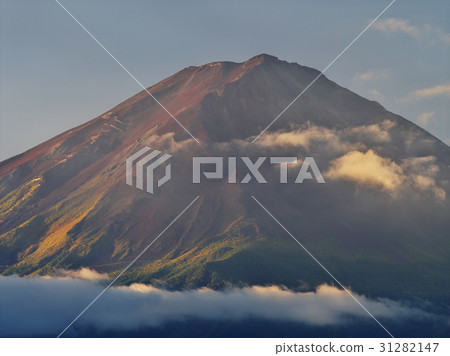 Autumn color Fuji of Kawaguchiko Autumn color Fuji of Kawaguchiko 31282147