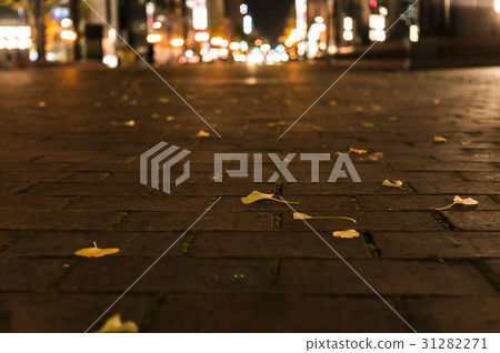 冬天的開始 31282271