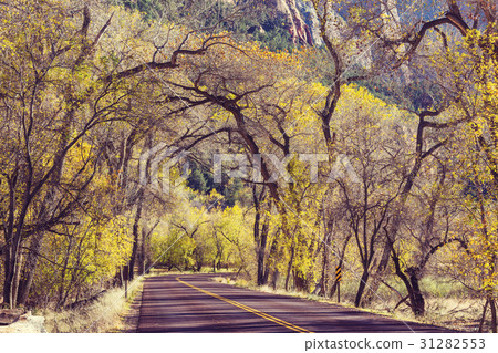 Autumn in Zion 31282553
