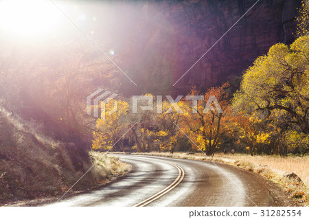 Autumn in Zion 31282554
