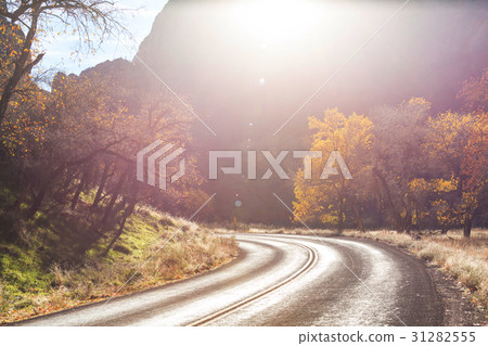 Autumn in Zion 31282555