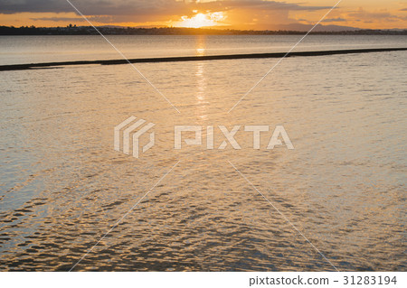 Pristine beach at Wellington Point, Brisbane 31283194