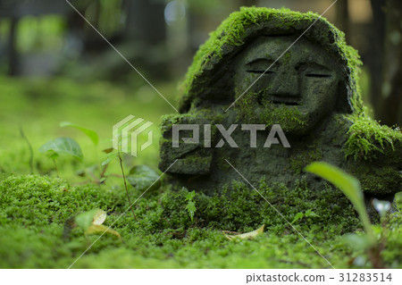 Moss leaves Jizo 31283514