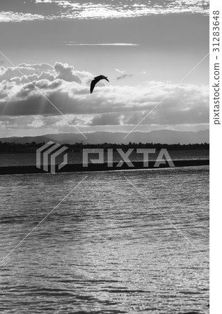 Pristine beach at Wellington Point, Brisbane. Pristine beach at Wellington Point, Brisbane. 31283648