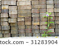 Flowers on a brick wall 31283904