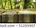 flowers on the brick block background tree blurred 31283907