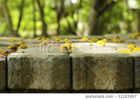 flowers on the brick block background tree blurred flowers on the brick block background tree blurred 31283907