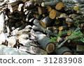 The tree was cut together 31283908