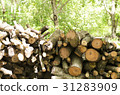 The tree was cut together. Tree background blurred 31283909