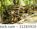 tree was cut together down the roadside. 31283910