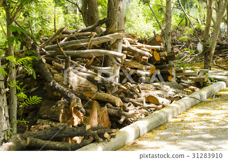 tree was cut together down the roadside. 31283910