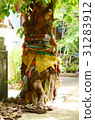 Believing in Spirit of Thailand Banyan tree 31283912