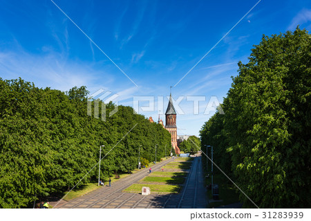 Cathedral of Kaliningrad Cathedral of Kaliningrad 31283939