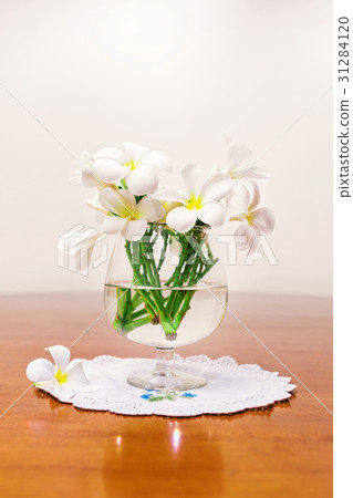 Still life with white spring summer flowers Still life with white spring summer flowers 31284120