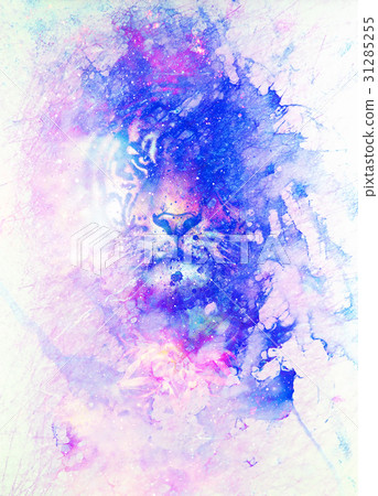 magical space tiger, multicolor computer graphic 31285255