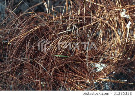 Metal carcass of the burnt automobile rubber tire Metal carcass of the burnt automobile rubber tire 31285338