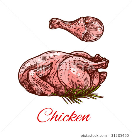 Chicken meat and leg vector isolated icon 31285460