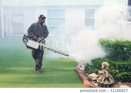 The man's fogging to eliminate mosquito The man's fogging to eliminate mosquito 31286827