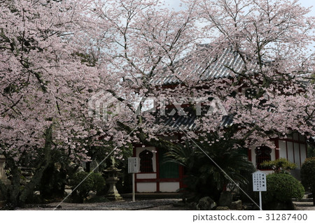 Kokawadera 31287400