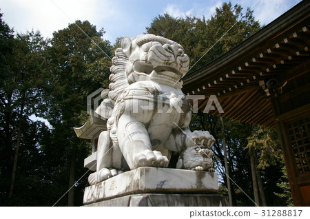 Gifu Prefecture Minokamo shi Honey Bean Temple Shinto stall guardian dog Gifu Prefecture Minokamo shi Honey Bean Temple Shinto stall guardian dog 31288817