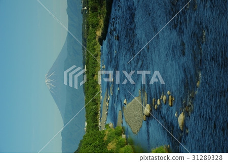 Mt. Fuji in early summer Mt. Fuji in early summer 31289328