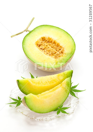 Takami Melon Takami Melon 31289567
