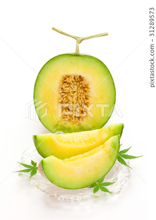 Takami Melon Takami Melon 31289573