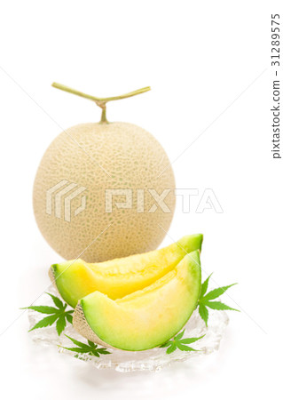 Takami Melon Takami Melon 31289575