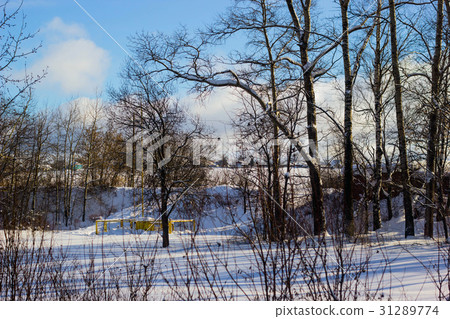 winter landscape in the park on a sunny day 31289774