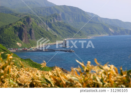 Octopus rock seen from God Rising Cape. 31290105