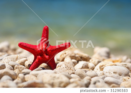 Summer beach with starfish. background sea. 31290383