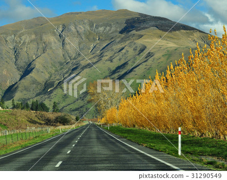 Road trip in New Zealand 31290549