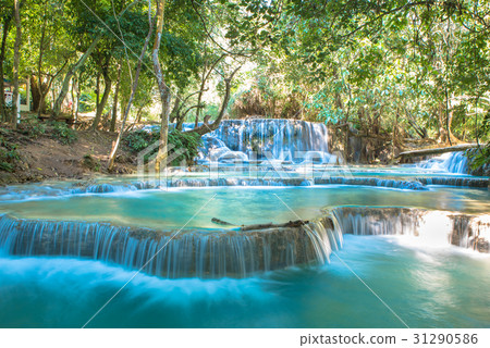 Waterfall in forest, names Tat Kuang Si Waterfalls 31290586