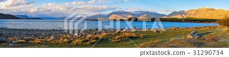 Lake Tekapo, New Zealand Landscape Lake Tekapo, New Zealand Landscape 31290734