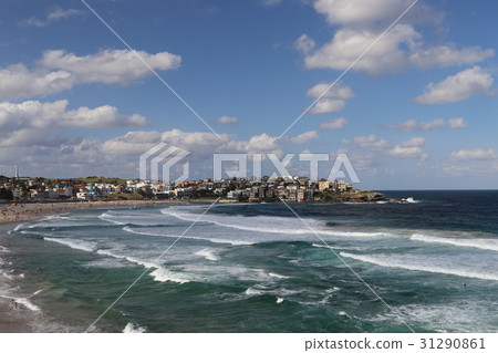 悉尼邦迪海灘 31290861