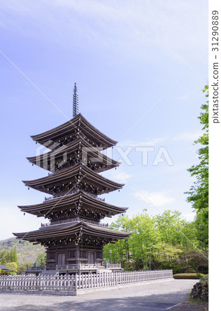 春天的定義新鮮的綠色照耀山西寺的五層塔 31290889