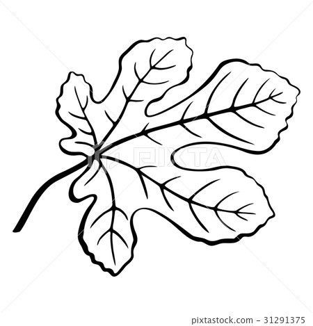 Fig Leaf Black Pictogram 31291375