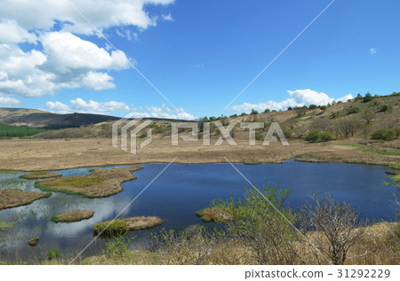 Yatsushima Marshland長野縣Kirigamine高原 31292229