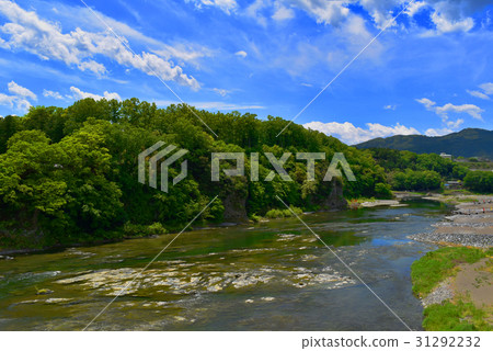 Botanical castle ruins 31292232