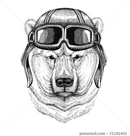 Polar bear wearing leather helmet Aviator, biker 31292402